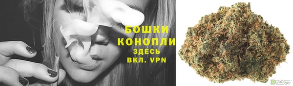 ПСИЛОЦИБИНОВЫЕ ГРИБЫ Магадан