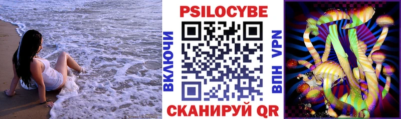купить закладку  Губкин  omg ссылки  Псилоцибиновые грибы Psilocybine cubensis 